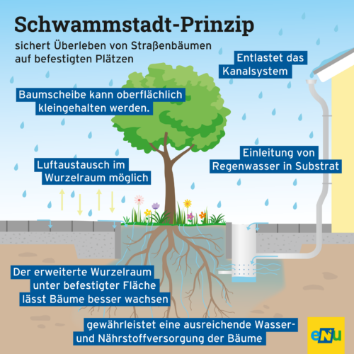 Niederschlag kann vor Ort gespeichert werden, die Pflanzen können das Wasser nach und nach aufnehmen.