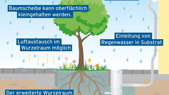 Niederschlag kann vor Ort gespeichert werden, die Pflanzen können das Wasser nach und nach aufnehmen.