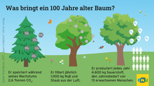 3 verschiedene Bäume, Symbole zeigen an, dass sie CO2 speichern, O2 produzieren, und Staub filtern.