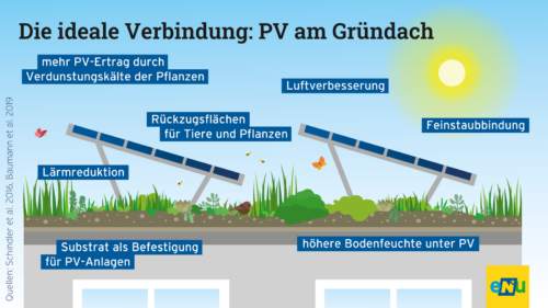 begrüntes Flachdach mit PV-Paneelen, die Sonne scheint, Schmetterlinge und Bienen fliegen, ein Vogel findet Schutz