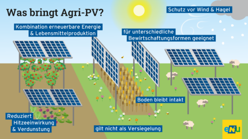 Obstgarten, Gemüsegarten, Getreidefeld und weidende Schaffen unter und neben PV-Paneelen