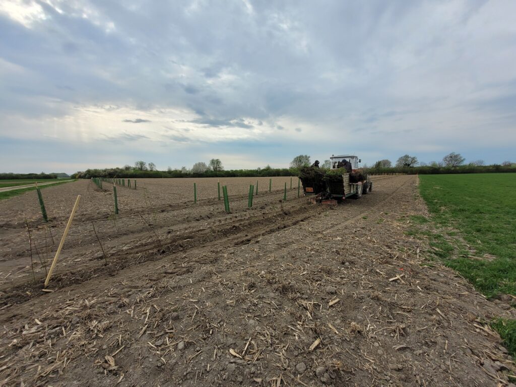 Ackerfläche, Traktor mit Menschen, rechts grüne Grasflächen, stark bedeckter Himmel