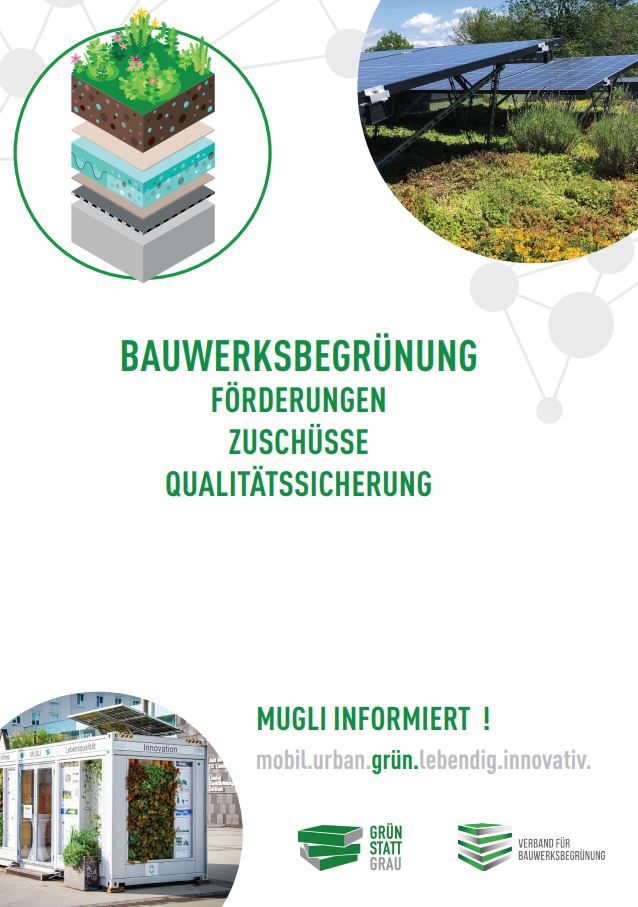 Cover des Folders "Bauwerksbegrünungen - Förderungen, Zuschüsse, Qualitätssicherung" auf welchem eine Grafik (Querschnitt Dachbegrünung) und zwei Fotos zu sehen ist.