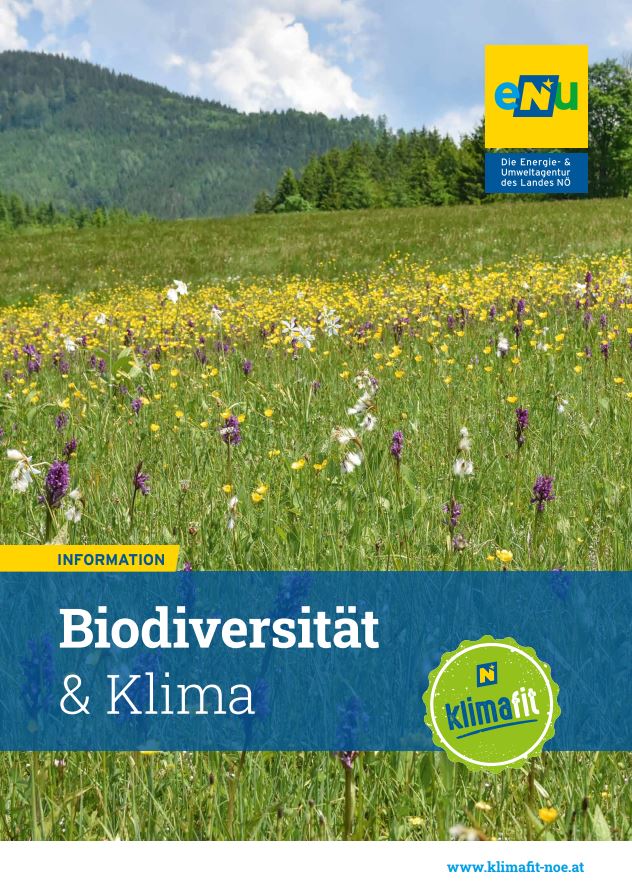 Cover des Infoblattes der eNu "Biodiversität & Klima"