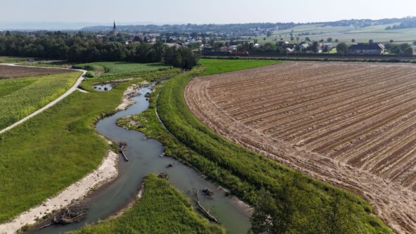 Felder, Grünland, Stadtgebiet