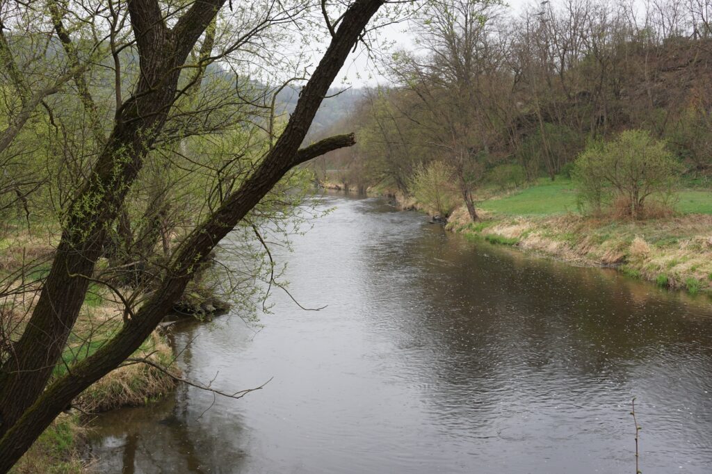 Baum im Vordergrund, in der Mitte fließt der Fluss Kamp, an dessen Ufern wachsen Sträucher, unbelaubt, Aufnahme aus dem Frühling, alles noch in zartem Grün.