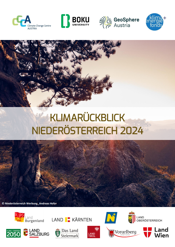 Titelblatt des Berichts Klimarückblick NÖ 2024, Ausblick bei Sonnenuntergang mit Kiefer im Vordergrund