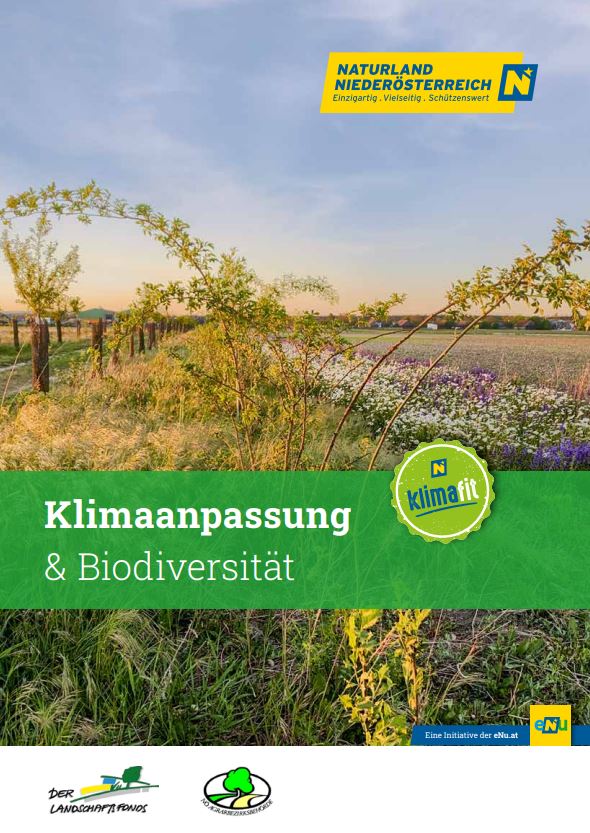 Cover des Infoblattes der eNu "Klimaanpassung & Biodiversität"