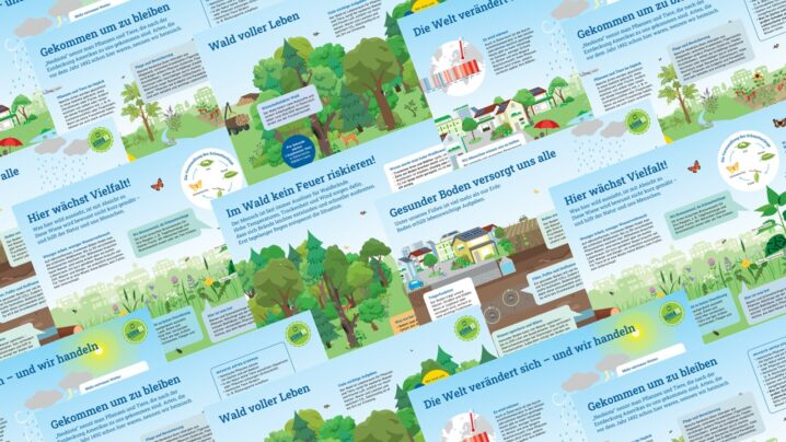 Zusammenstellung von vielen Motiven der Klimafit-Schautafeln