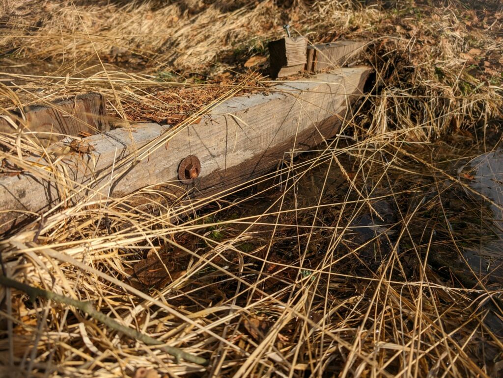 Holzbrett im Moor dient als Damm. 