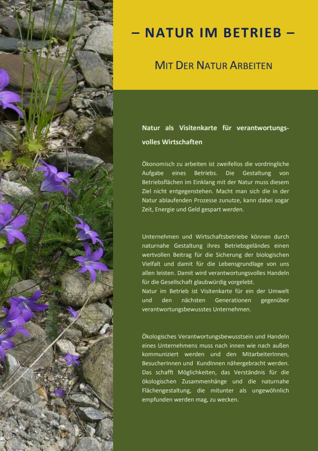 Cover des Infoblattes "Natur im Betrieb"