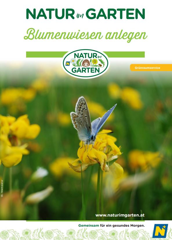 Cover der Broschüre von Natur im Garten - Blumenwiesen anlegen
