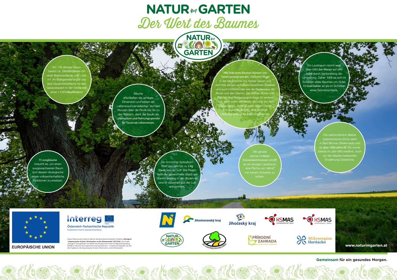 Poster von Natur im Garten über den Wert des Baumes