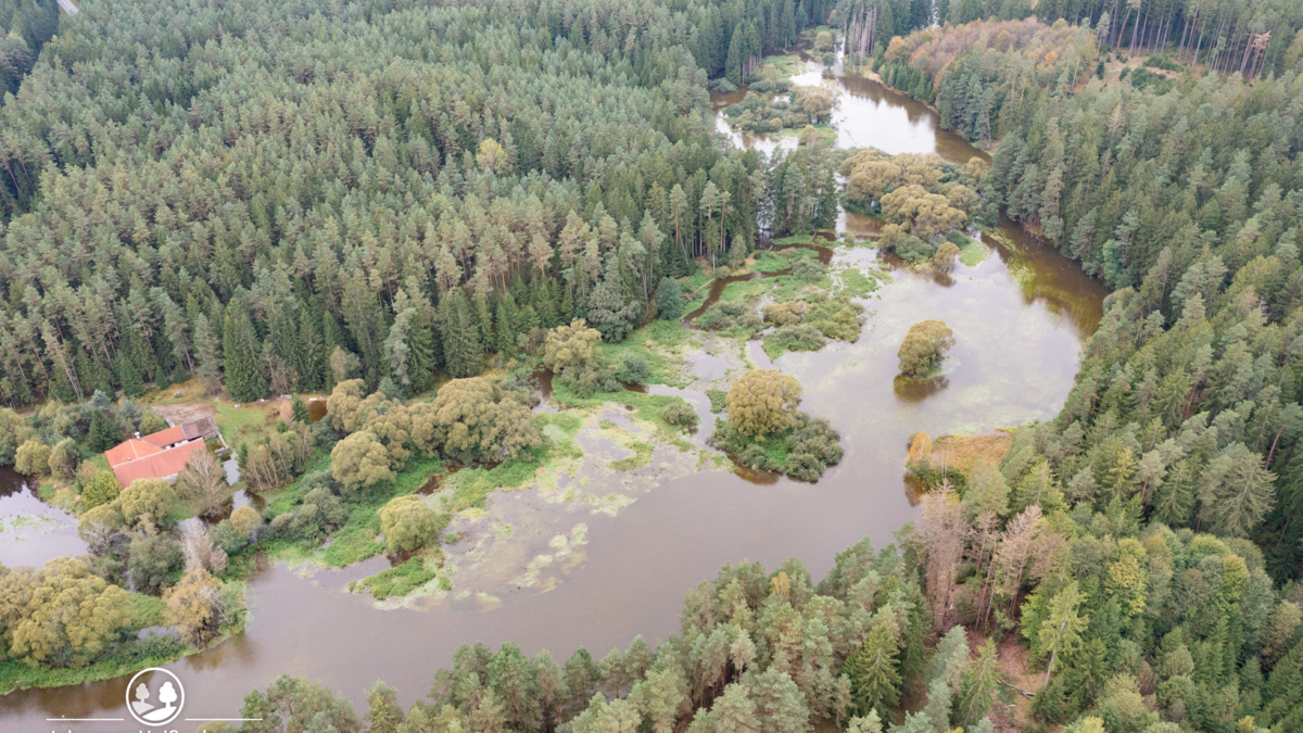 Luftaufnahme Reißbach nach Starkregen, Wiese und Umgebung steht unter Wasser