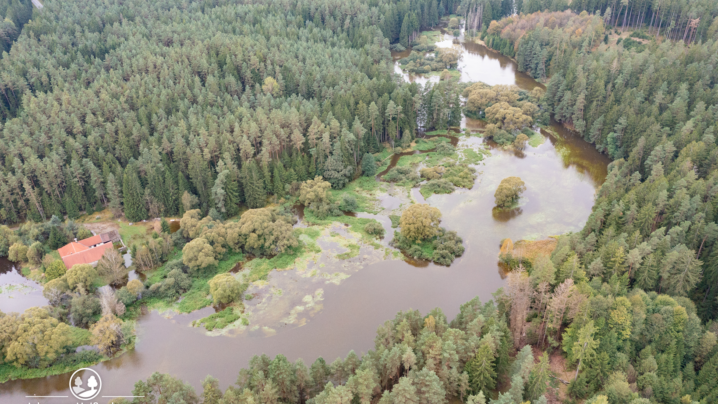 Luftaufnahme Reißbach nach Starkregen, Wiese und Umgebung steht unter Wasser