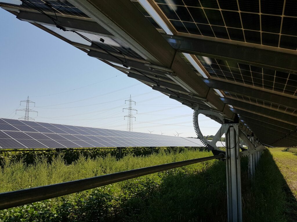 Auf einem Feld werden landwirtschaftliche Kulturen zwischen PV-Panelen angebaut.