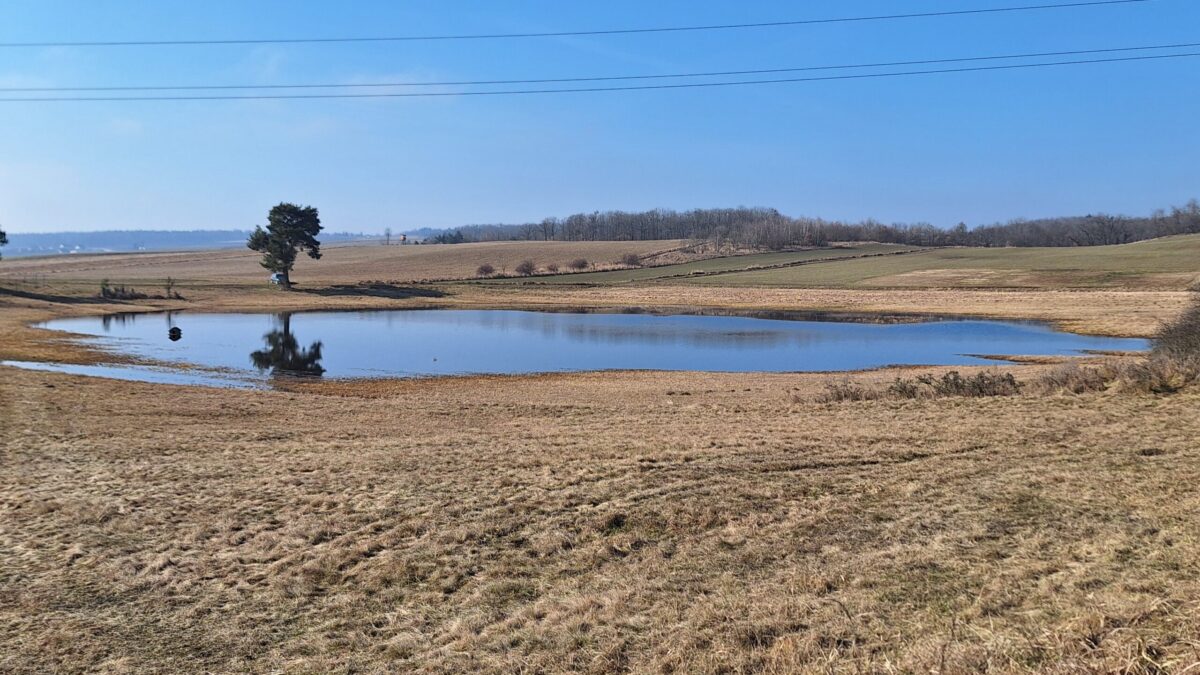 trockene Landschaft, Wasserfläche in der Mitte, darüber Stromleitungen, einzelner Baum, blauer Himmel