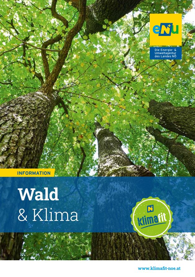 Cover des Infoblattes der eNu "Wald & Klima"