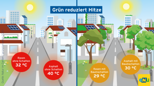 Infografik: Darstellung von Häusern und Hochhäusern mit Bäumen und Begrünung, auf linker Seite ohne Schatten und Begrünung, auf der rechten Seite mit Begrünung und hohen Bäumen, die die Temperaturen deutlich reduzieren.