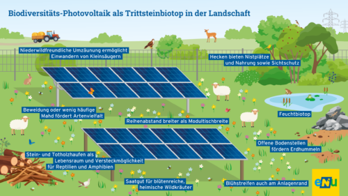 Bunte Landschaft mit verschiedenen Tieren und Pflanzen gezeichnet, dazwischen PV-Paneele. Grüne Wiese, weiße Schafe, dunkle PV-Anlage.