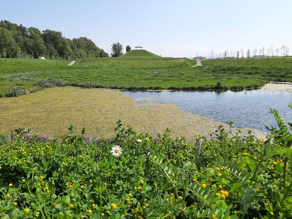 Retentionsbecken in St. Pölten mit Biotop im Vordergrund und "Eisbergspitze" im Hintergrund.