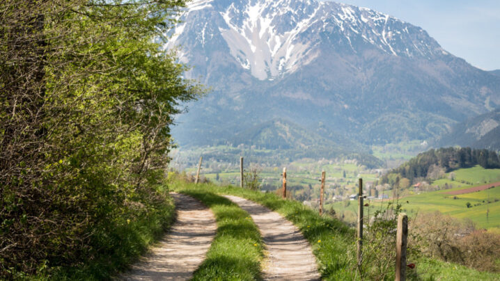 Schotterweg, im Hintergrund der Schneeberg