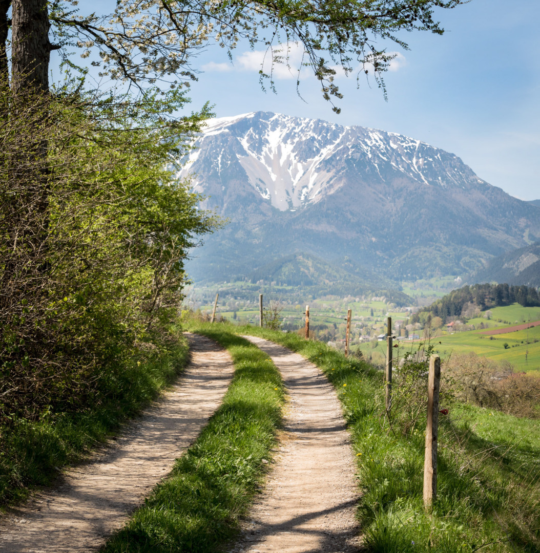 Schotterweg, im Hintergrund der Schneeberg