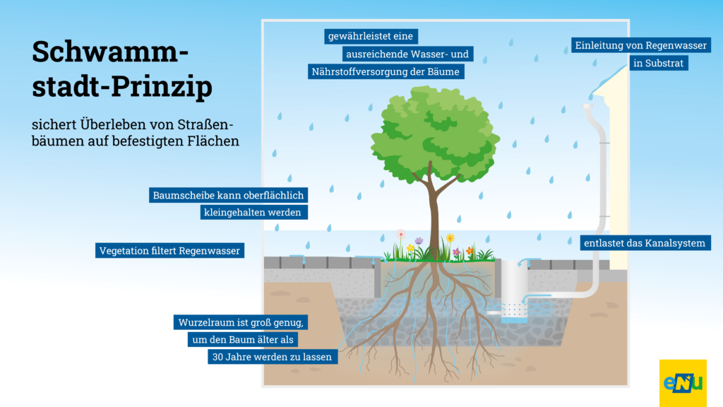 Niederschlag kann vor Ort gespeichert werden, die Pflanzen können das Wasser nach und nach aufnehmen.