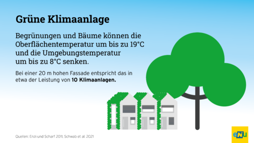 Begrünungen und Bäume senken Umgebungs- und Oberflächentemperatur um 8°C bis sogar 19°C. Das wirkt bei einer 20 m hohen Fassade wie 10 Klimaanlagen.