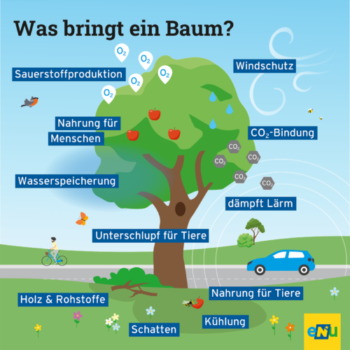 Baum neben einer Straße, rechts davon fährt ein Auto, links davon sieht man eine radfahrende Person. Vor dem Baum liegen Äste und ein angebissener Apfel mit Hornisse.