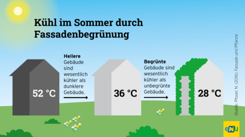 Infografik: Dunkle Gebäude heizen sich im Sommer stärker auf als helle, begrünte helle Gebäude bleiben am kühlsten.