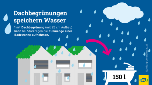 Infografik zur Dachbegrünung: Häuser und Regenwolke und Badewanne.