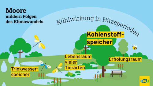 Moore mildern die Folgen des Klimawandels