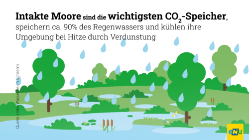 Infografik: Intakte Moore speichern CO2, Regenwasser und kühlen ihre Umgebung mit Verdunstung.
