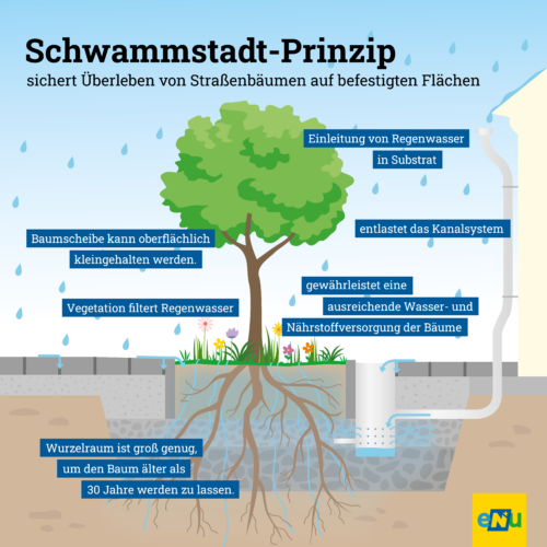 Niederschlag kann vor Ort gespeichert werden, die Pflanzen können das Wasser nach und nach aufnehmen.