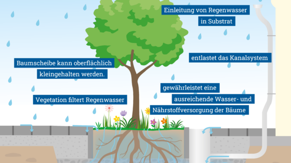 Niederschlag kann vor Ort gespeichert werden, die Pflanzen können das Wasser nach und nach aufnehmen.