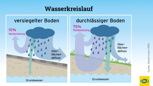 Ein durchlässiger Boden lässt Wasser versickern, verdunsten und reichert das Grundwasser an.