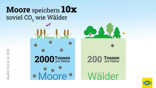 Infografik: Moore speichern 10x so viel CO2 wie Wälder auf der gleichen Fläche.